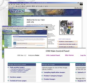 metaskil.com  updated  pages on an existing template as part of a rebranding exercise by PCDS